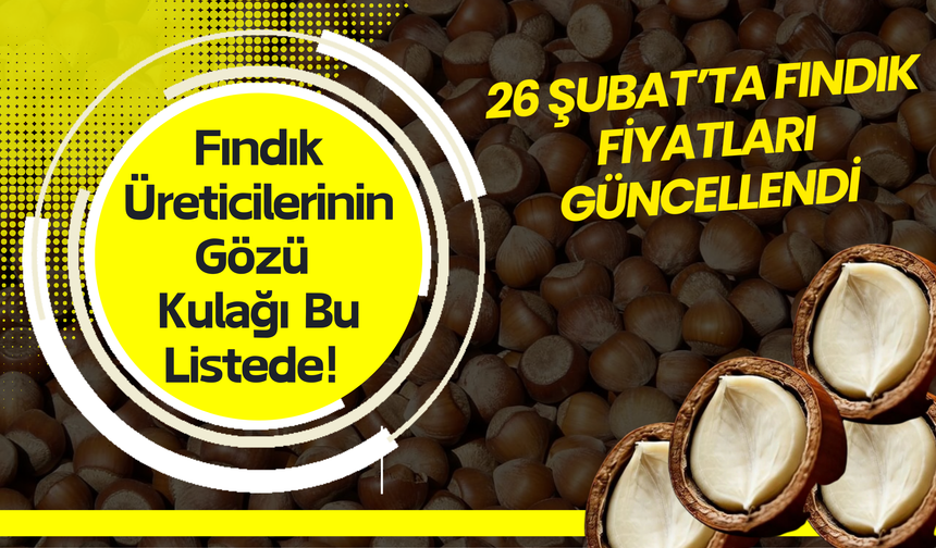 Fındık Üreticilerinin Gözü Kulağı Bu Listede! 26 Şubat’ta Fındık Fiyatları Güncellendi