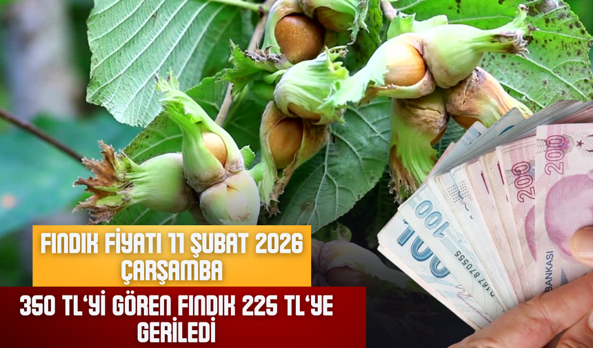 Fındık Fiyatı 11 Şubat 2026 Çarşamba