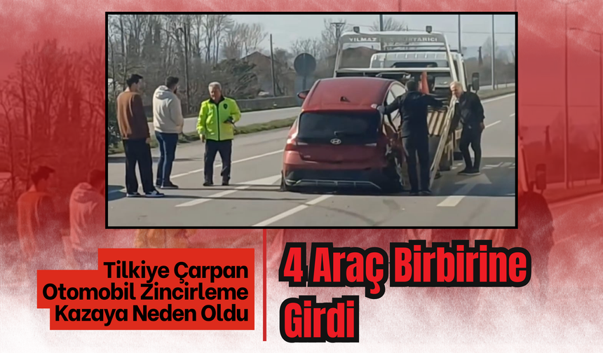 Tilkiye Çarpan Otomobil Zincirleme Kazaya Neden Oldu: 4 Araç Birbirine Girdi