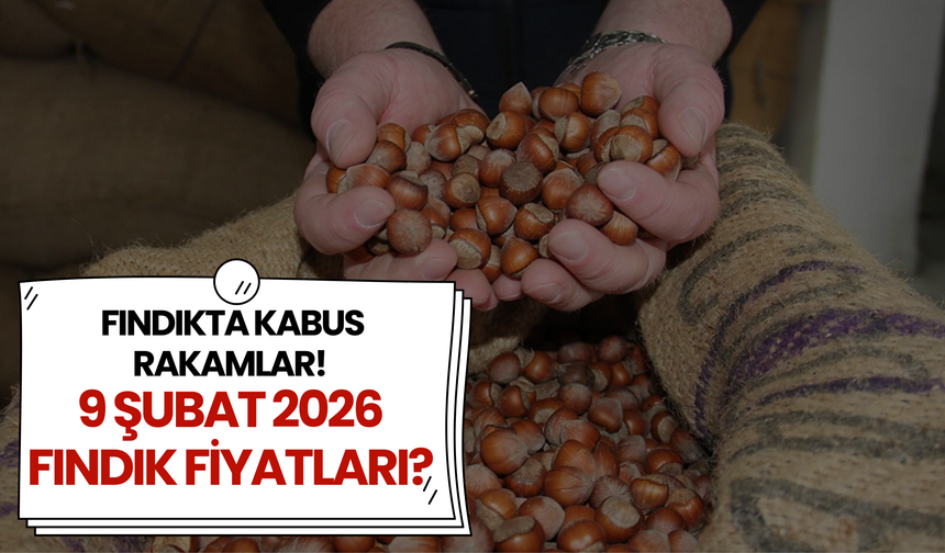 Fındıkta Kabus Rakamlar! 9 Şubat 2026 Fındık Fiyatları?