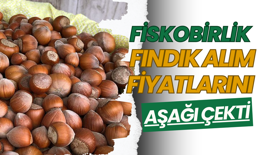 Fiskobirlik Fındık Alım Fiyatlarını Aşağı Çekti