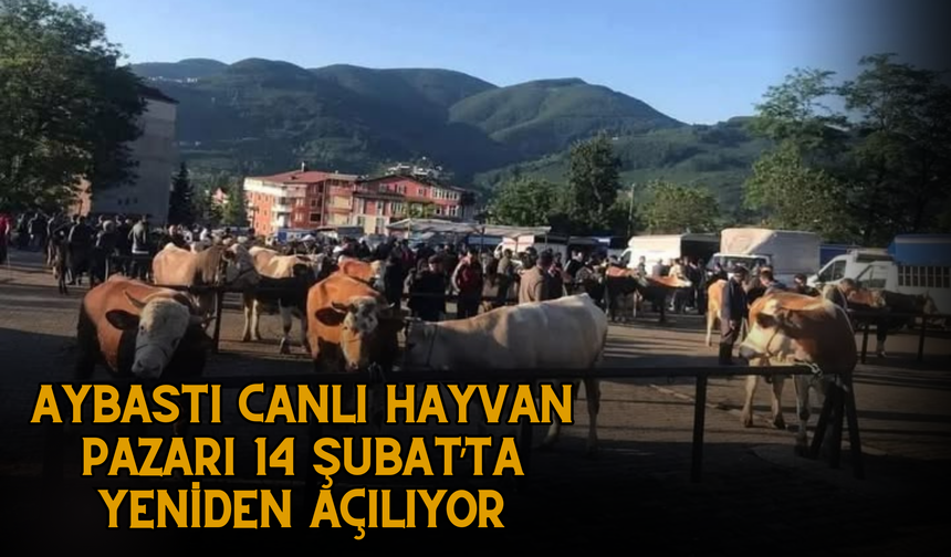 Aybastı Canlı Hayvan Pazarı 14 Şubat’ta Yeniden Açılıyor
