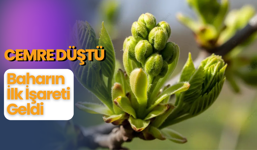 Cemre Düştü, Baharın İlk İşareti Geldi