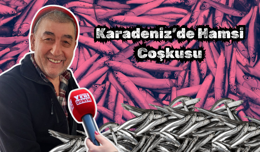 Karadeniz’de Hamsi Coşkusu