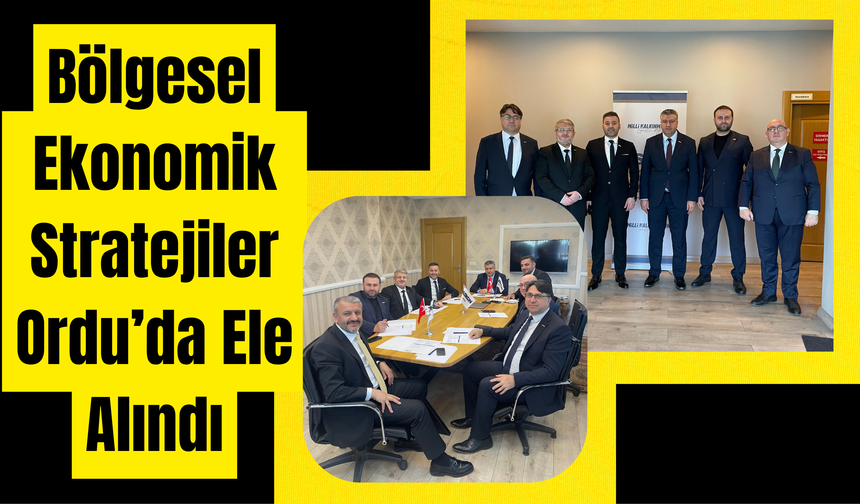 Bölgesel Ekonomik Stratejiler Ordu’da Ele Alındı