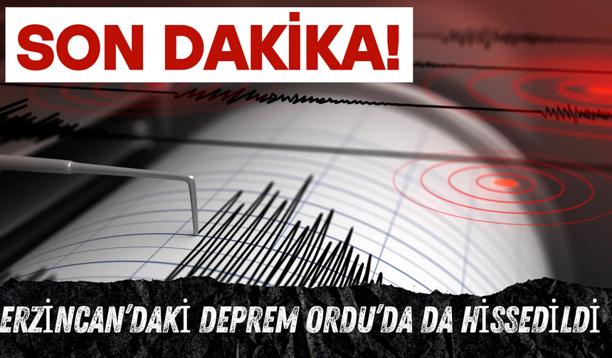 Erzincan’daki Deprem Ordu’da da Hissedildi