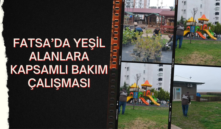 Fatsa’da Yeşil Alanlara Kapsamlı Bakım Çalışması