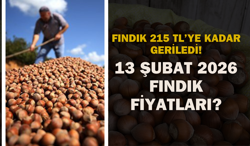 Fındık 215 TL’ye Kadar Geriledi! 13 Şubat 2026 Fındık Fiyatları?