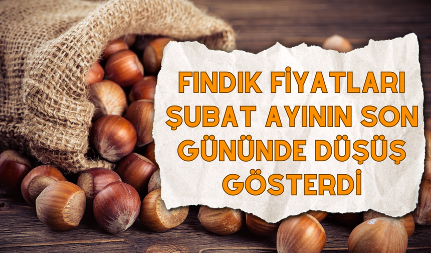 Fındık Fiyatları Şubat Ayının Son Gününde Düşüş Gösterdi