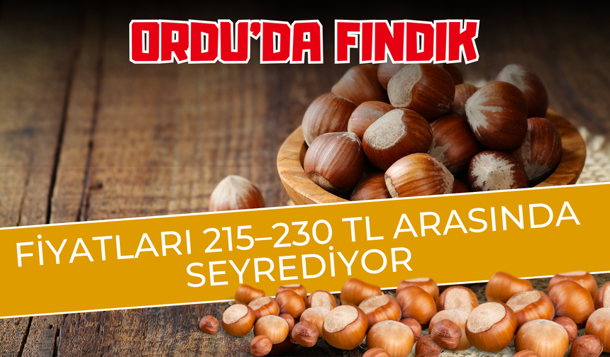 Ordu’da Fındık Fiyatları 215–230 TL Arasında Seyrediyor