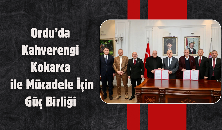 Ordu’da Kahverengi Kokarca ile Mücadele İçin Güç Birliği