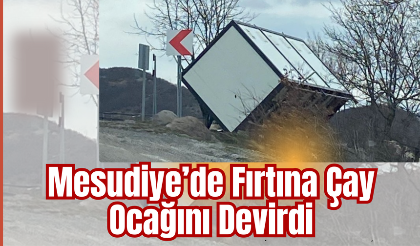 Mesudiye’de Fırtına Çay Ocağını Devirdi
