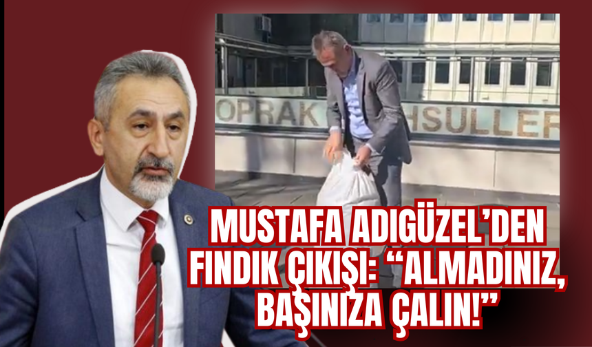 Mustafa Adıgüzel’den Fındık Çıkışı: “Almadınız, Başınıza Çalın!”