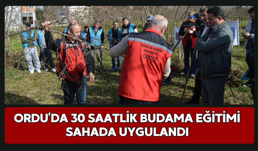 Ordu’da 30 Saatlik Budama Eğitimi Sahada Uygulandı