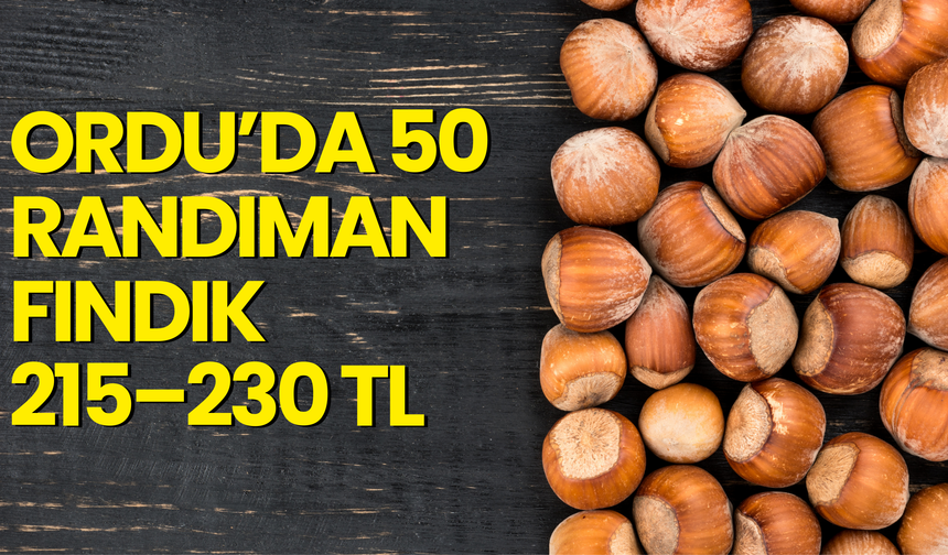 Ordu’da 50 Randıman Fındık 215–230 TL