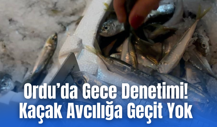 Ordu’da Gece Denetimi: Kaçak Avcılığa Geçit Yok