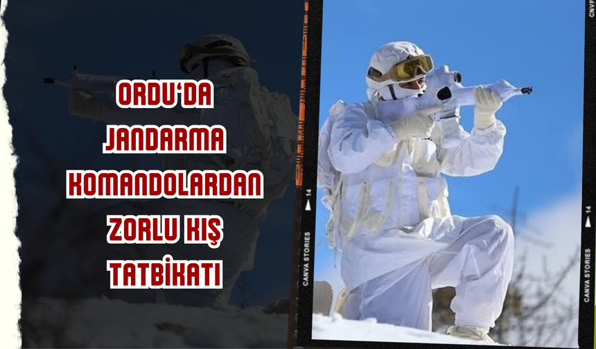 Ordu’da Jandarma Komandolardan Zorlu Kış Tatbikatı