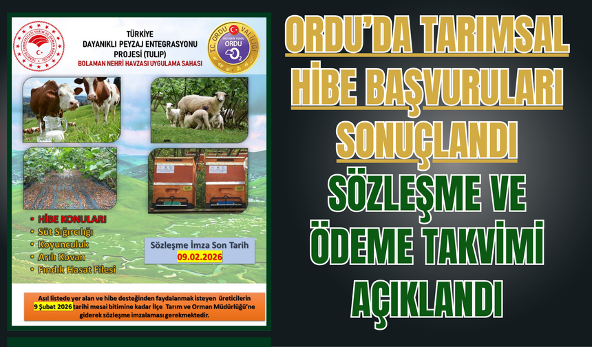 Ordu’da Tarımsal Hibe Başvuruları Sonuçlandı: Sözleşme ve Ödeme Takvimi Açıklandı