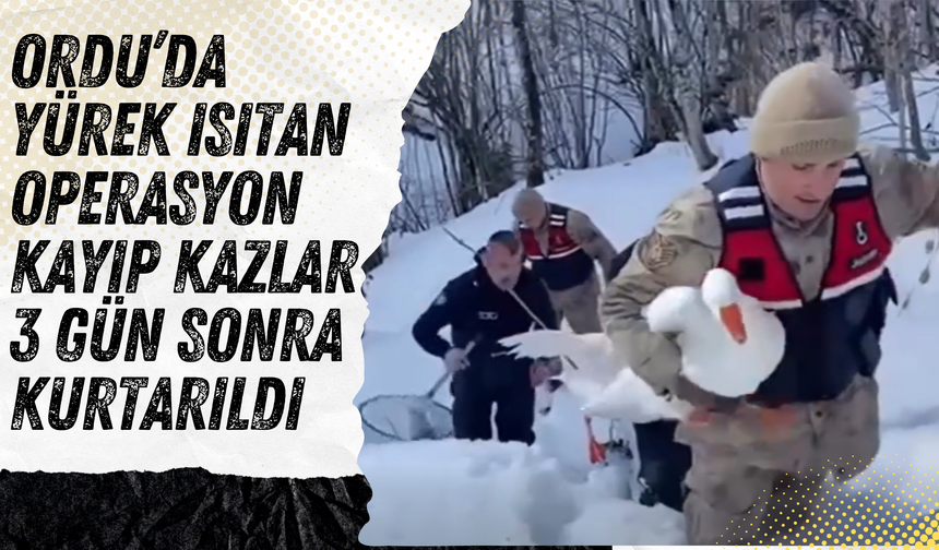 Ordu’da Yürek Isıtan Operasyon: Kayıp Kazlar 3 Gün Sonra Kurtarıldı