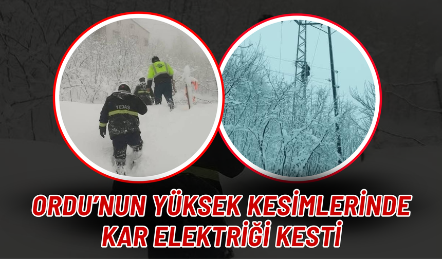 Ordu’nun Yüksek Kesimlerinde Kar Elektriği Kesti
