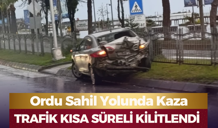 Ordu Sahil Yolunda Kaza: Trafik Kısa Süreli Kilitlendi