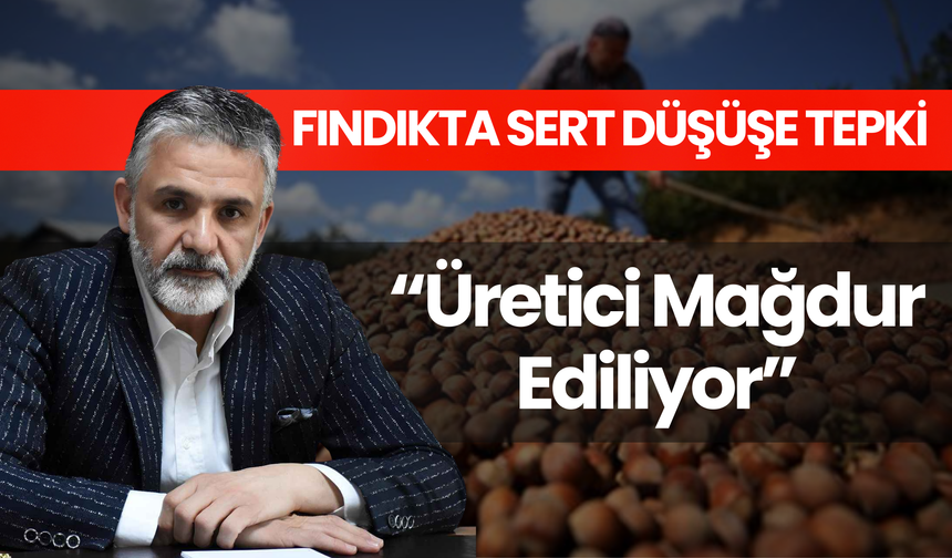 Fındıkta Sert Düşüşe Tepki: “Üretici Mağdur Ediliyor”