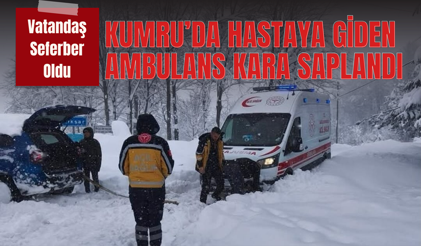 Kumru’da Hastaya Giden Ambulans Kara Saplandı