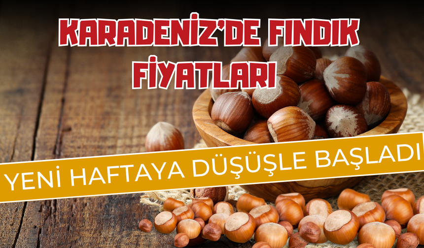 Karadeniz’de Fındık Fiyatları Yeni Haftaya Düşüşle Başladı