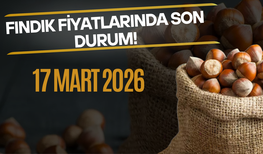 17 Mart 2026 Fındık Fiyatlarında Son Durum!
