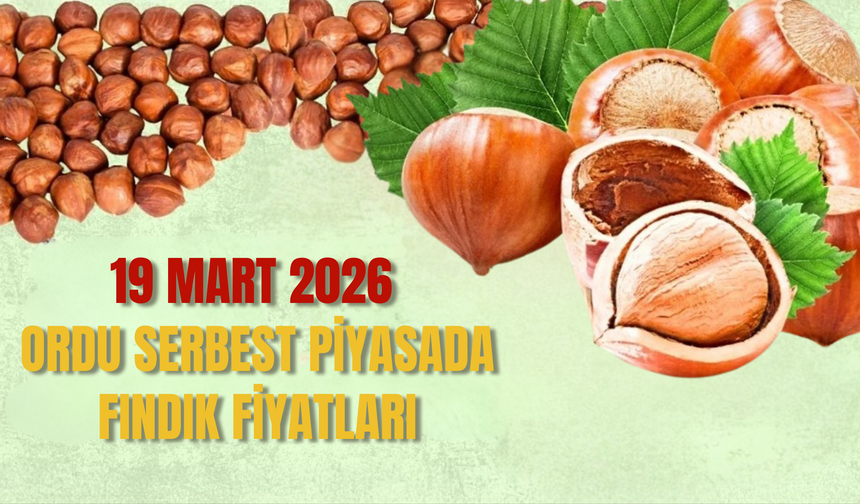 19 Mart 2026 Ordu Serbest Piyasada Fındık Fiyatları