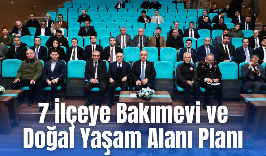 Ordu’da Sokak Hayvanları İçin Yeni Adım: 7 İlçeye Bakımevi ve Doğal Yaşam Alanı Planı