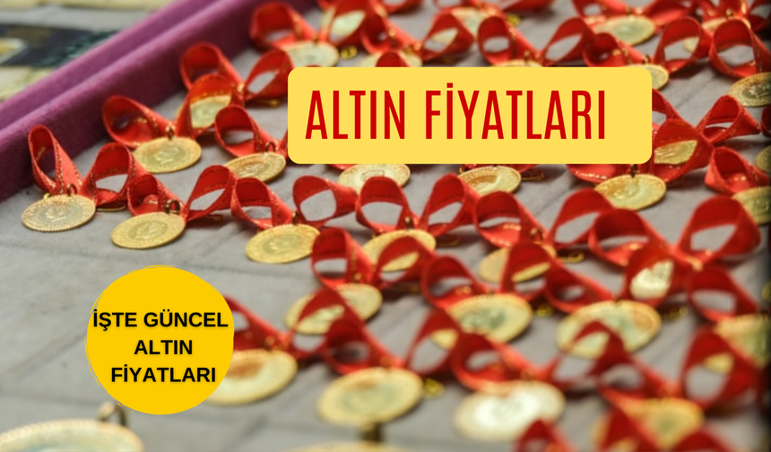 Ordu’da Fiyatlar Rekor Kırıyor