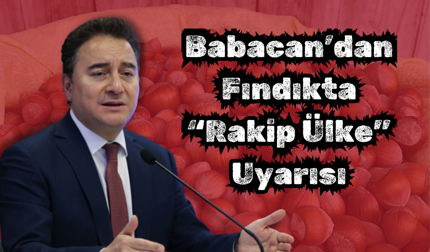 Babacan’dan Fındıkta “Rakip Ülke” Uyarısı