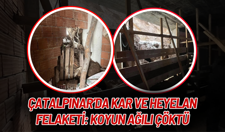 Çatalpınar’da Kar ve Heyelan Felaketi: Koyun Ağılı Çöktü