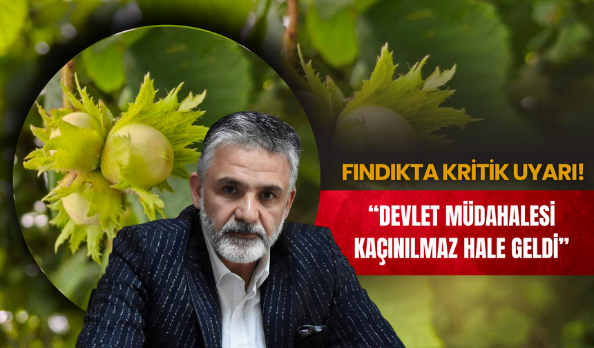 Fındıkta Kritik Uyarı: “Devlet Müdahalesi Kaçınılmaz Hale Geldi”