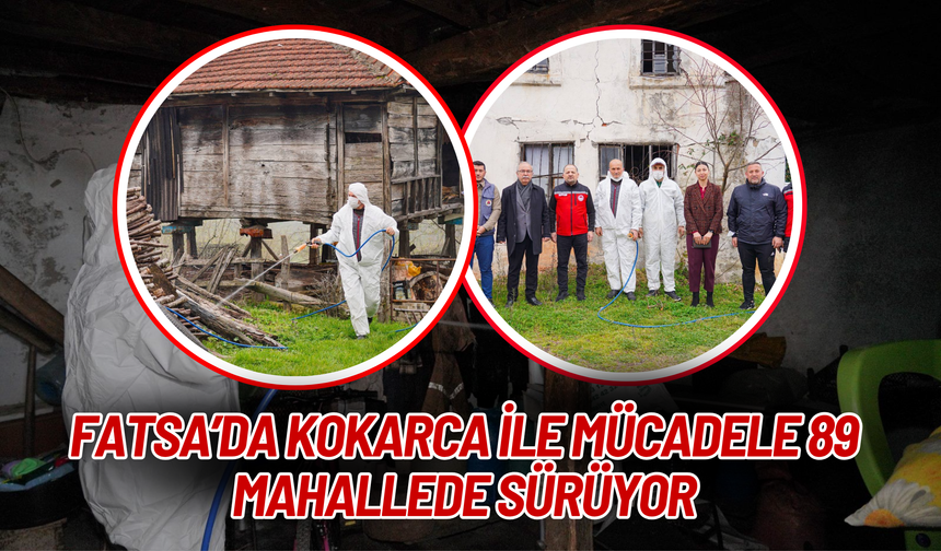FATSA’DA KOKARCA İLE MÜCADELE 89 MAHALLEDE SÜRÜYOR