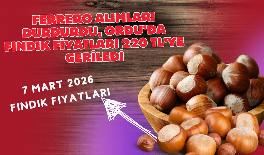 Ferrero Alımları Durdurdu, Ordu’da Fındık Fiyatları 220 TL’ye Geriledi