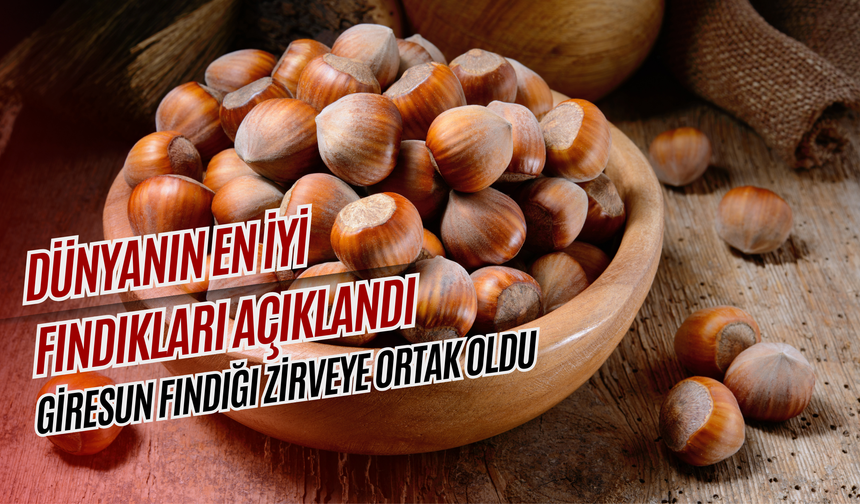 Dünyanın En İyi Fındıkları Açıklandı: Giresun Fındığı Zirveye Ortak Oldu