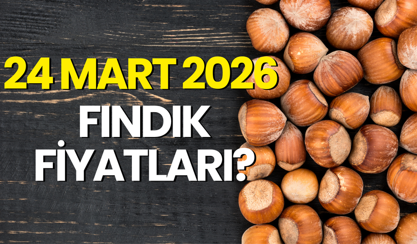 24 Mart 2026 Fındık Fiyatları?