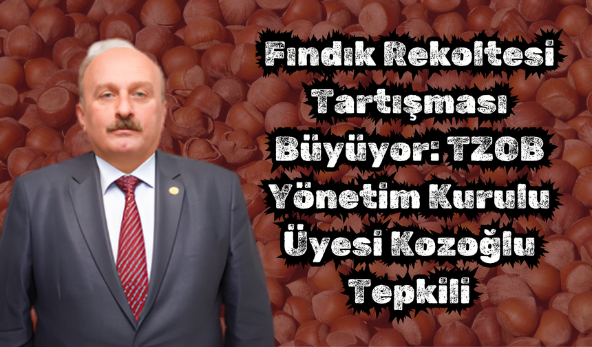 Fındık Rekoltesi Tartışması Büyüyor: TZOB Yönetim Kurulu Üyesi Kozoğlu Tepkili