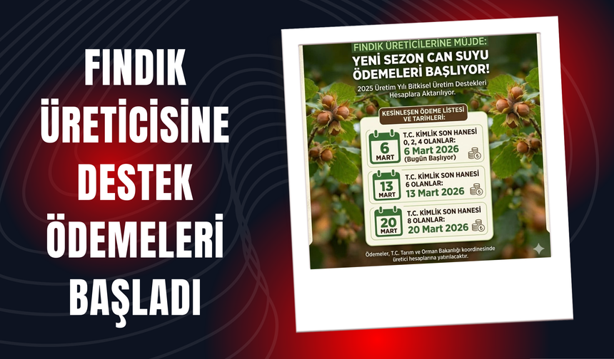 Fındık Üreticisine Destek Ödemeleri Başladı