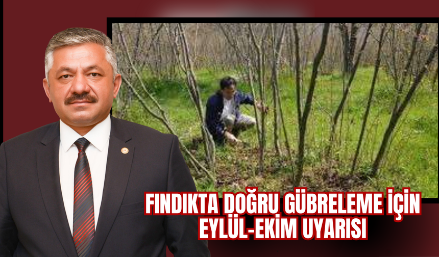 Fındıkta Doğru Gübreleme İçin Eylül–Ekim Uyarısı