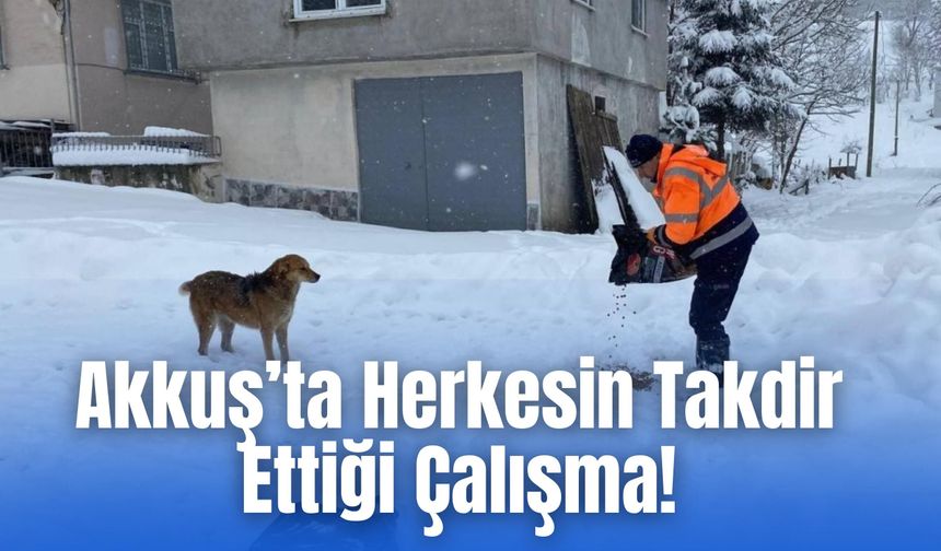 Akkuş’ta Sokak Hayvanlarına Kış Desteği