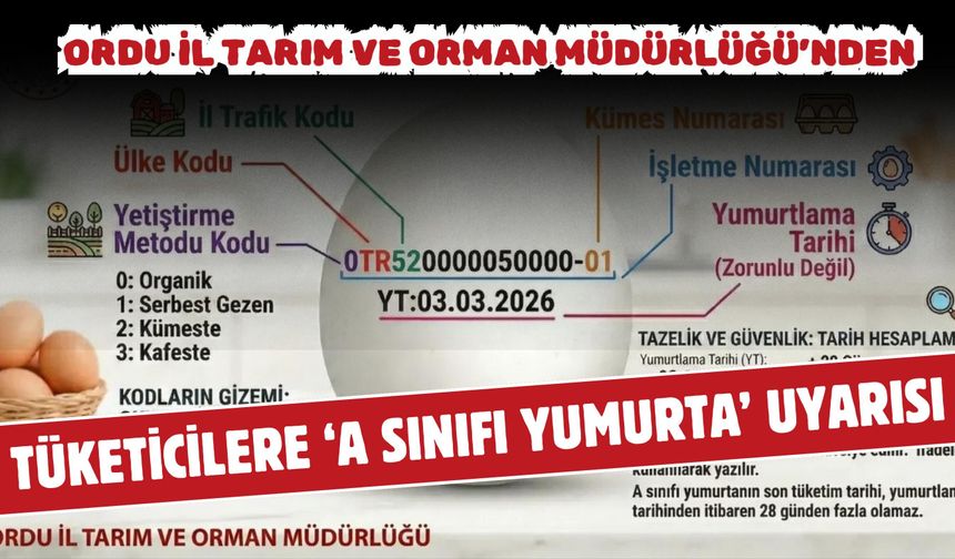 Ordu Tarım Müdürlüğü'nden Tüketicilere 'A Sınıfı Yumurta Rehberi'