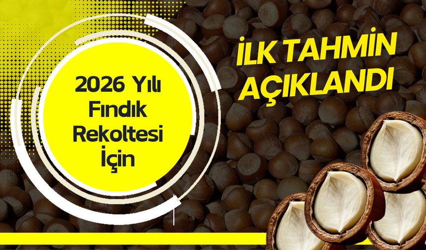 2026 Yılı Fındık Rekoltesi İçin İlk Tahmin Açıklandı