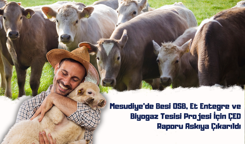 Mesudiye’de Besi OSB, Et Entegre ve Biyogaz Tesisi Projesi İçin ÇED Raporu Askıya Çıkarıldı