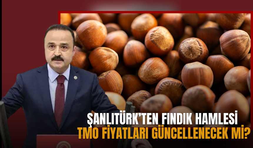 Şanlıtürk’ten Fındık Hamlesi: TMO Fiyatları Güncellenecek mi?