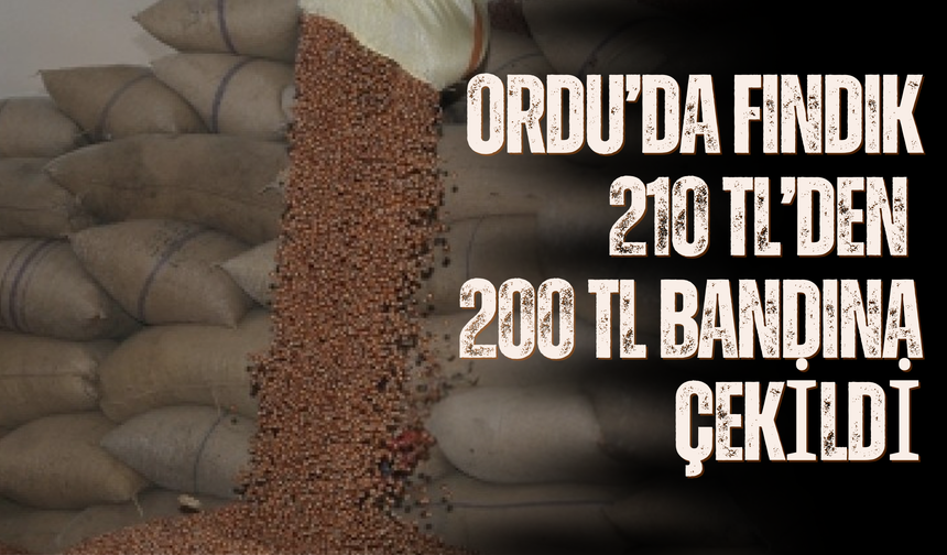 Ordu’da Fındık 210 TL’den 200 TL Bandına Çekildi