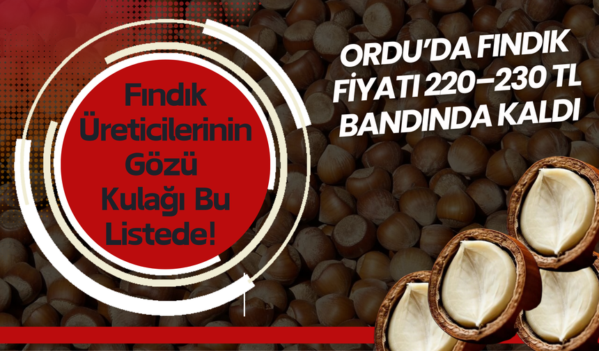 Ordu’da Fındık Fiyatı 220–230 TL Bandında Kaldı