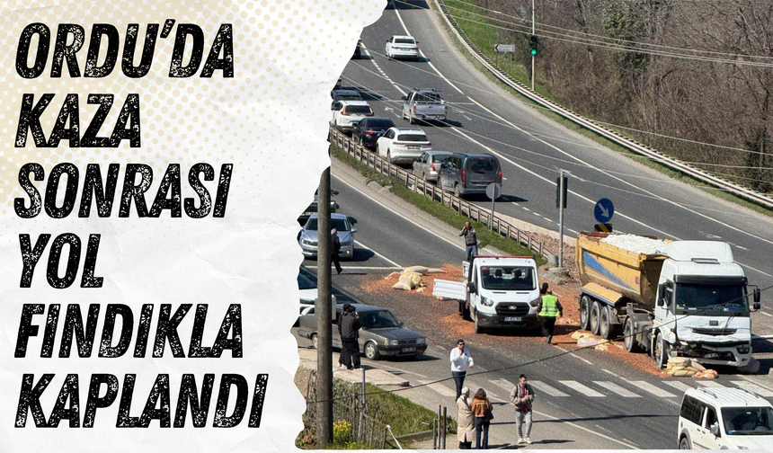 Ordu’da Kaza Sonrası Yol Fındıkla Kaplandı